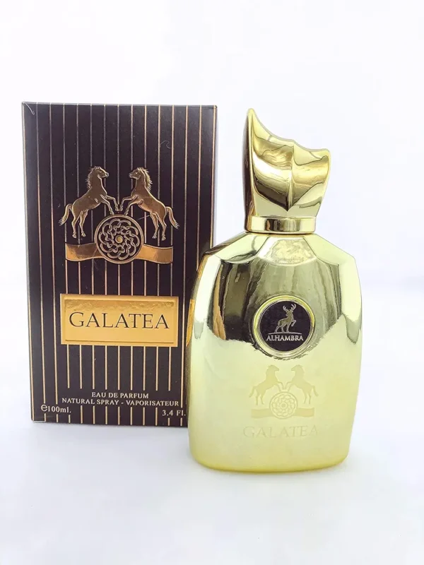 Intense Leather by Luxury Scents, 100ML (EDP) for Men. - Image 2