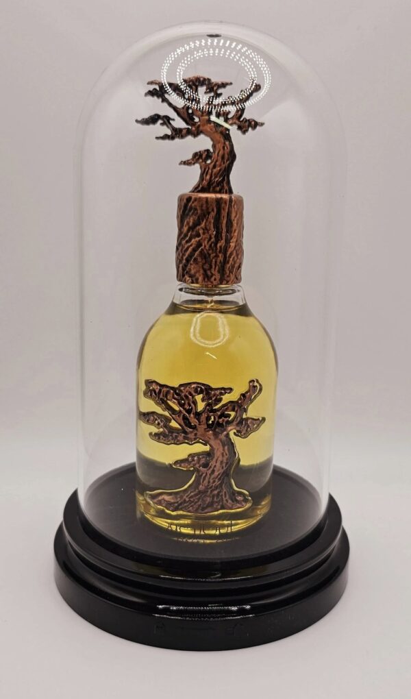 Eternal Oud by Lattafa Perfumes, 100ML (EDP) for Unisex - Image 3