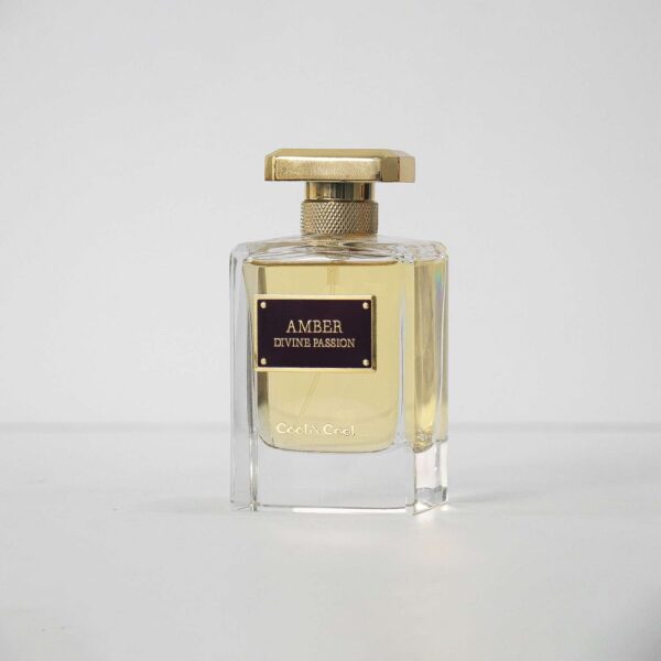 COOL AMBER DIVINE PASSION by COOL AND COOL, 100ML (EDP) for Women - Image 3