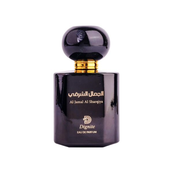 CHIC CHYPRE FRUITY by LUXE, 100ML (EDP) for Women - Image 2